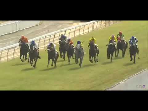 Mauritius Horse Racing 2nd Meeting 2020