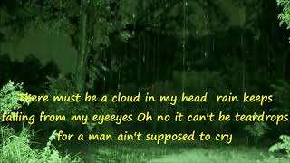 Raindrops  Dee Clark 1961