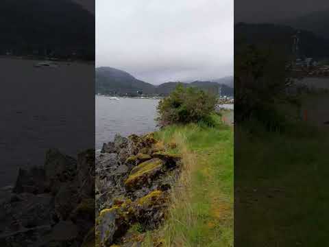 Recorriendo puerto cisnes #soydecarahue #patagoniachilena #aysen #carreteraaustral #coyhaique