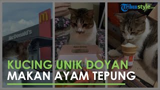 Viral Kisah Kurir Menembus Hutan dan Pegunungan di Banjarnegara 