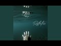 Reflection (feat. Kryptosis)