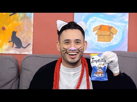 Temptations Cat Treats | Chewy