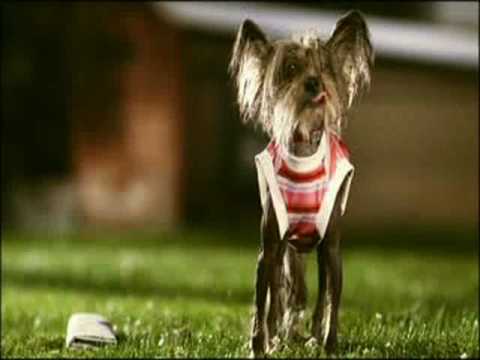 Philips "Afghan" TV advert