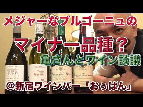 , title : '亀さんワイン談義「メジャーなブルゴーニュのマイナー品種」'