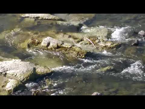 nature /small river/ coubon