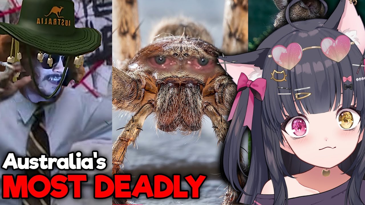 IS AUSTRALIA REAL?! | Parz Certified Australia REACTION