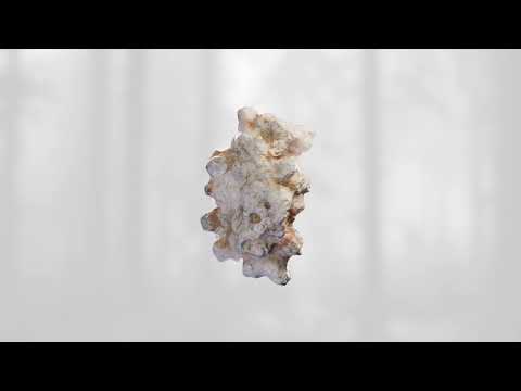 Rey&Kjavik - Dan (Official Video)