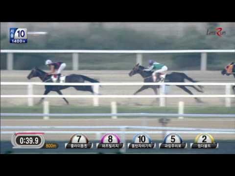 Asia Challenge Cup 2014 Prep Race - Wonder Bolt