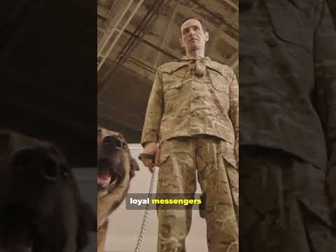 “HITLER’S TALKING DOGS?”