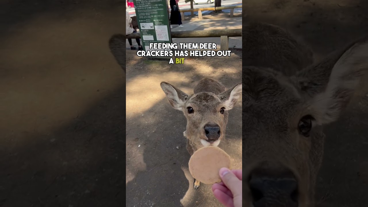 YouTube Short thumbnail