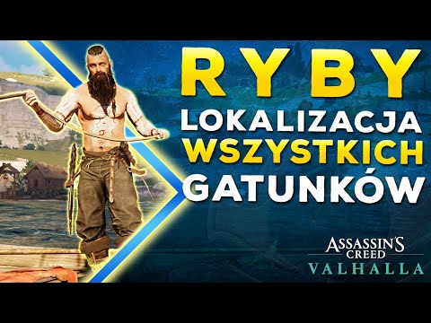 Location of all fish species | Guide | Assassin's Creed Valhalla PL