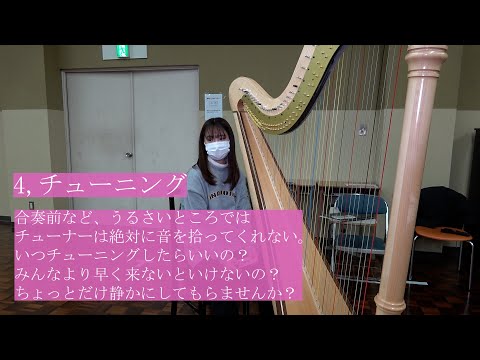 【吹奏楽】ハープの人にしか伝わらないあるある