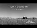 Tum Mera Dukh Bant Rahi Ho Singer Haider Iqbal Poet Jaun Elia Tribute To Jaun Elia