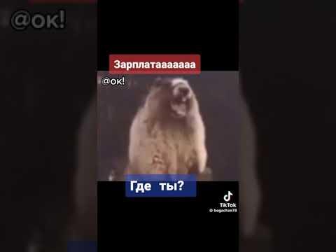 прикол про зарплату #tiktok #приколы #зарплата
