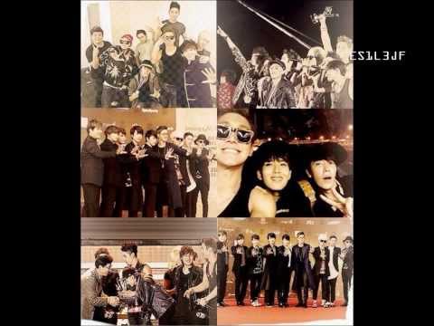 Tie Clam Shells - Super Junior