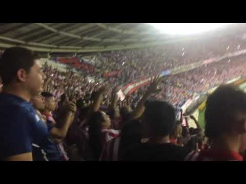 Vamos vamos tiburón!