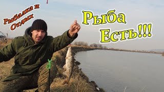 Ссылка