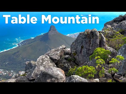 Table Mountain in Cape Town: 5 Tips For Your Visit