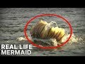 MERMAID Caught On CAMERA Zone On The Road