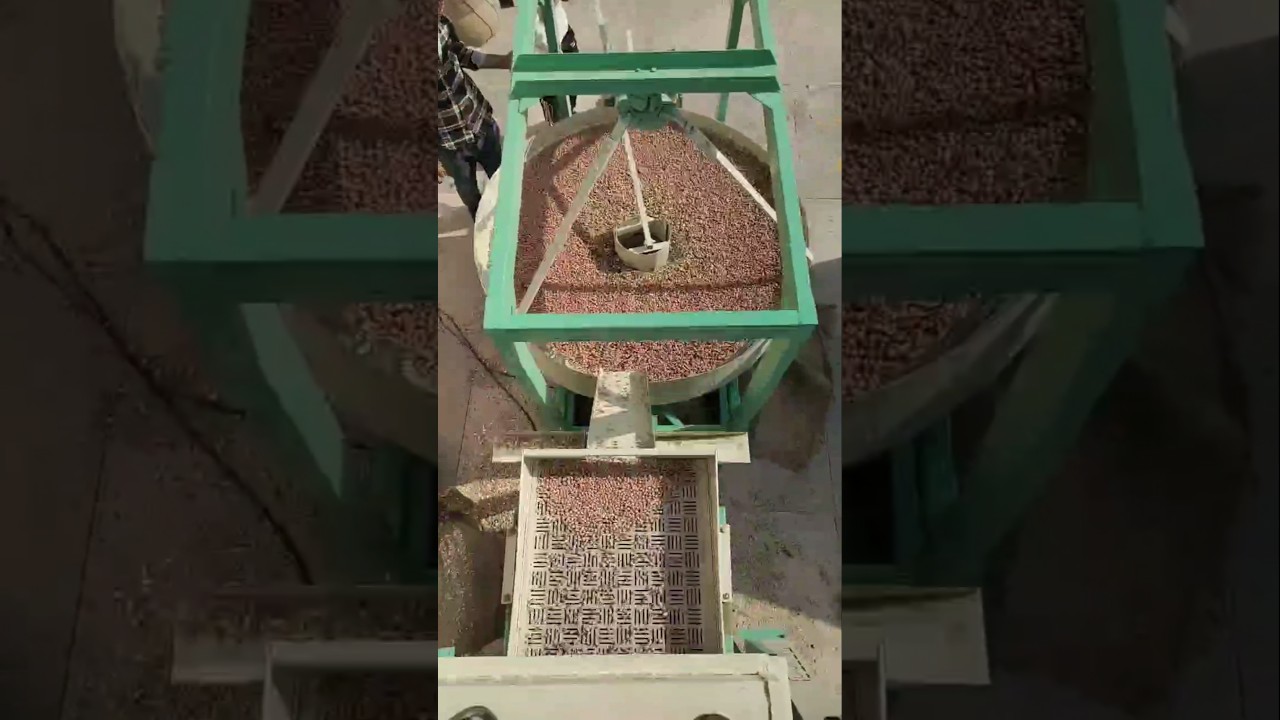 how to remove groundnut husk | how sheller of groundnut works | #agriculture