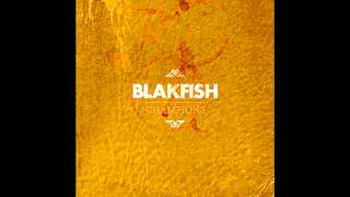 Blafish - I Saw A Car On Fire There Once