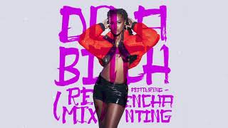 Do A Bitch (Remix) [feat. Enchanting] song artwork