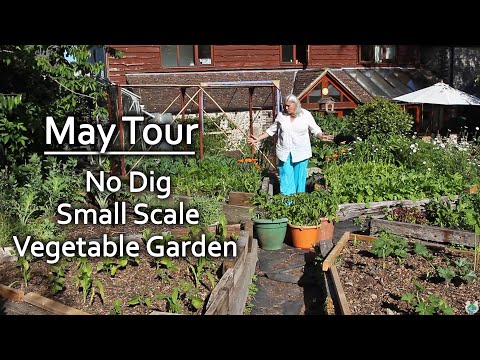 No Dig Organic Vegetable Garden Tour in Late May