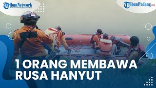 UPDATE Korban Hanyut Di Sungai Nagari Padang, Ternyata Menyeberang sambil Bawa Rusa Hasil Buruan