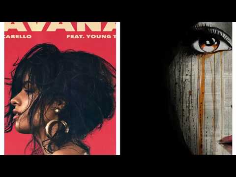 Crying In Havana- Camila Cabello feat. Young Thug (Demyx Mashup)