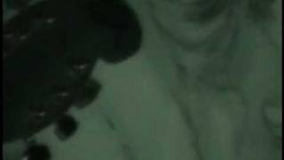 David Heumann @ Rocket to Venus -- PRISM INDEX show -- 5.1.10  -- part TWO