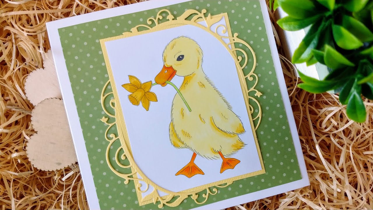 Colouring Duckling 