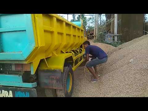 Umplung Mania Rasa Canter