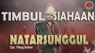 Download lagu Timbul Siahaan - Natarsunggul mp3 Download lagu Timbul Siahaan - Natarsunggul mp3