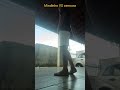 Mindinho VS Cenoura Pt1
