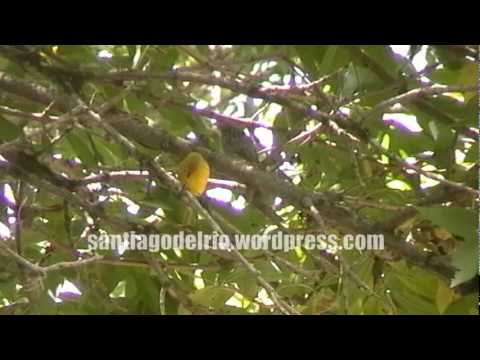 Parque Villarino - Zavalla - Santa Fe