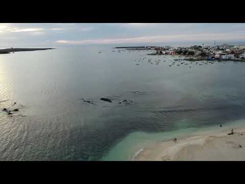 Boa Vista, Cabo Verde (Drone, 4K)