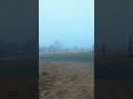 Caution Fog