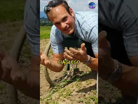 Rozwiązywanie Problemów Po Niemiecku