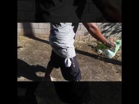 LOKS * NANO - VISÃO MARGINAL 019