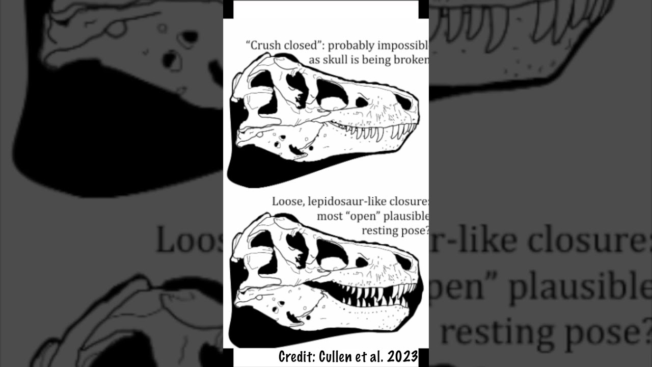 Lips on Theropods? A Toothy Debate #dinosaur #paleontology #sciencefacts