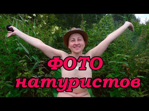 Yandex video arama