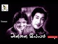 Annai Illam Movie All Mp3 Songs Sivajiganesan Devika Padmini Dhanseditz