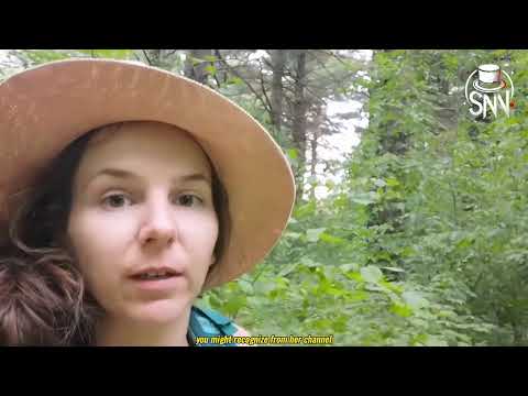 3 Hours Of Most Disturbing Camping Encounters Ever Caught On Camera