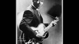 Muddy Waters - She Moves Me