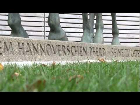 Hannoveraner Highlights 2012