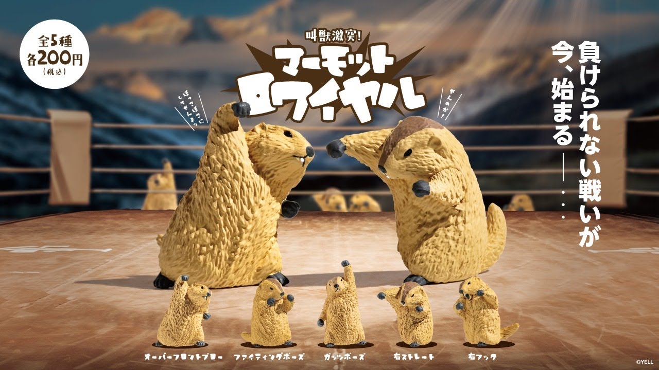 【カプセルトイ商品を先行紹介】マーモットロワイヤル