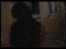 Bells of Soul - You and I (Video - first version)