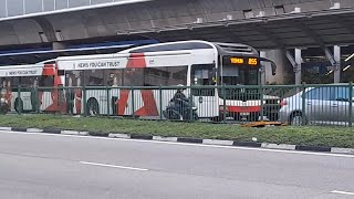 (Mediacorp CNA Full Body Advertisement) SMB1339C On Service 855 At Yishun Avenue 2