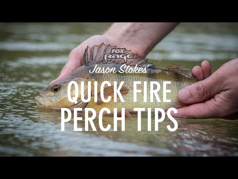 *** Fox Rage TV *** EARLY SUMMER PERCH TIPS