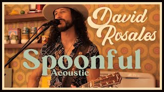 David Rosales - Spoonful (Acoustic)
